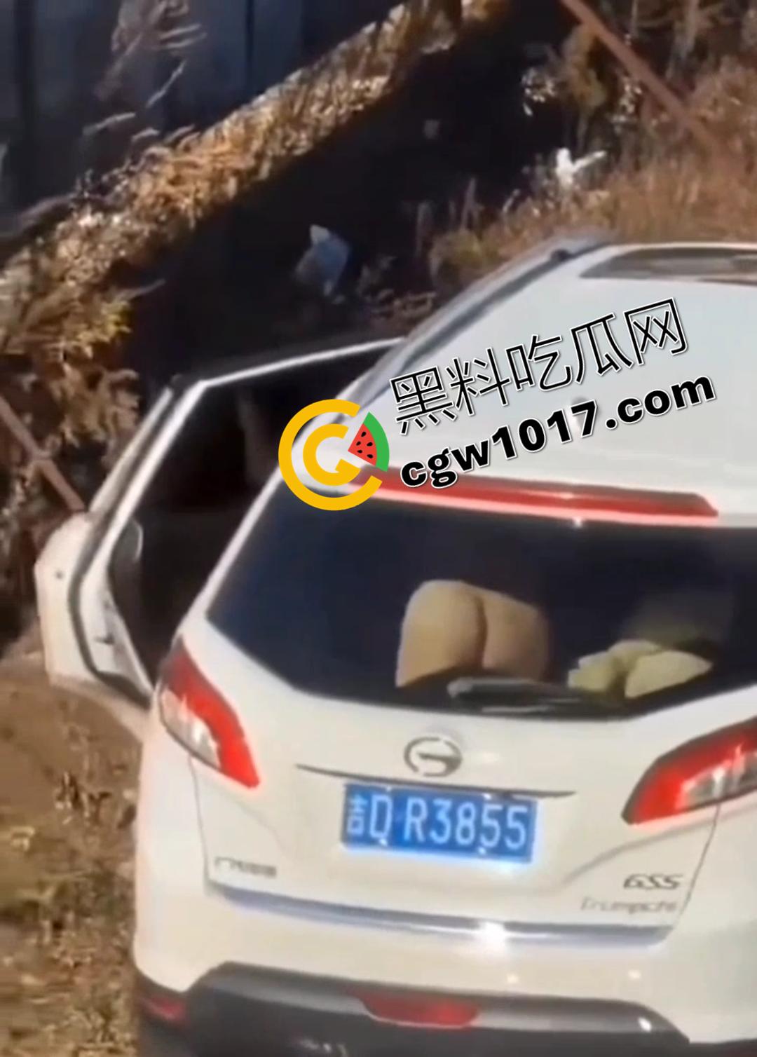 辽源市的吉DR3855 野外车震完整曝光!大屁股后入白嫩晃眼,车主直接社死全国!-4