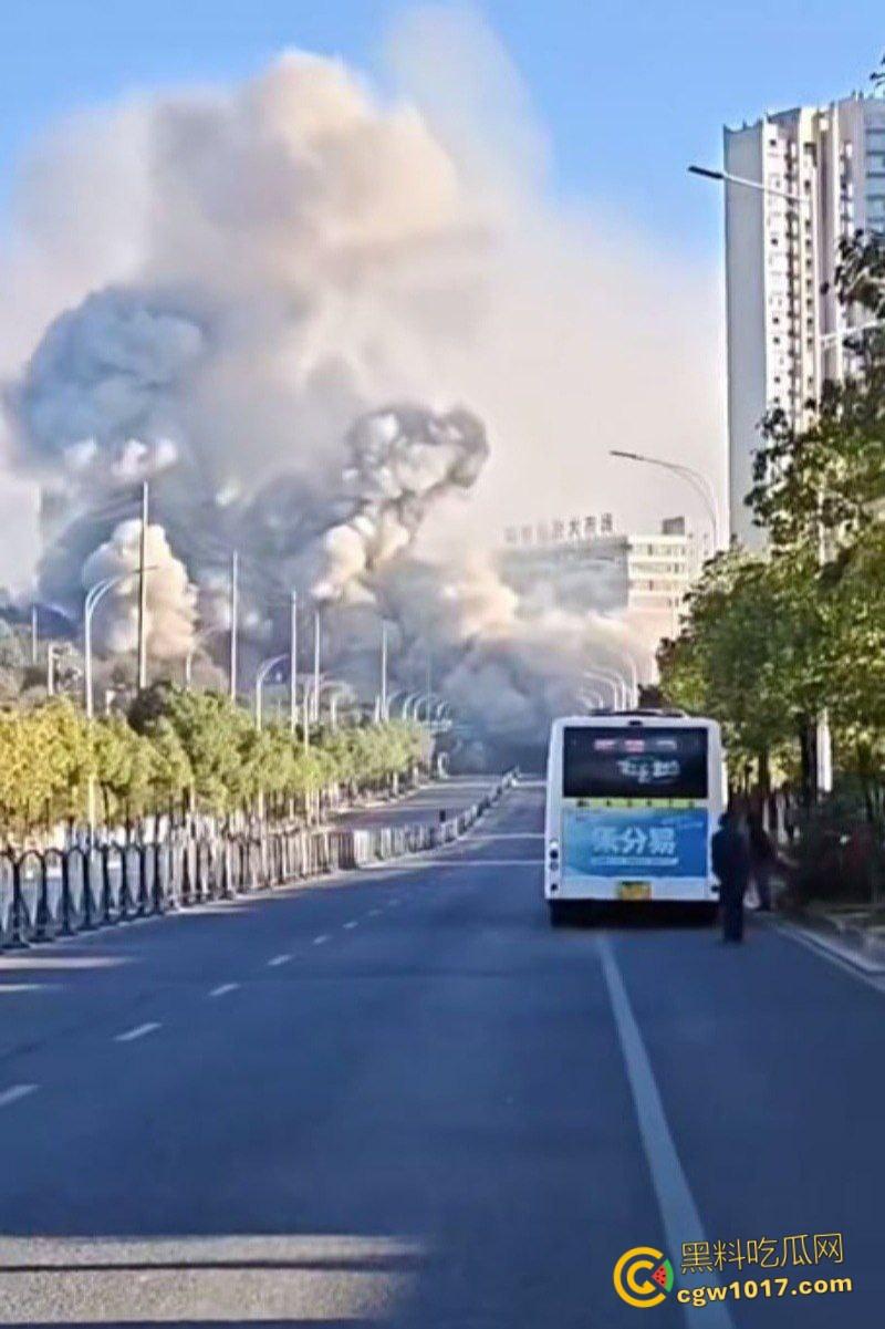 浏阳烟花爆炸事件，勇鑫烟花老板实名举报腐败官员吃分行收贿，被禁卖绝望吃农药，自爆门店轰塌大楼 ！-6