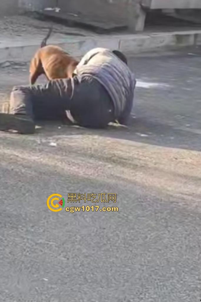 大爷手贱开狗笼被比特犬当场反咬!女主人抱不住狗,大妈大爷拿棍子打像挠痒,比特犬得配上香料才安抚大爷的心!-4