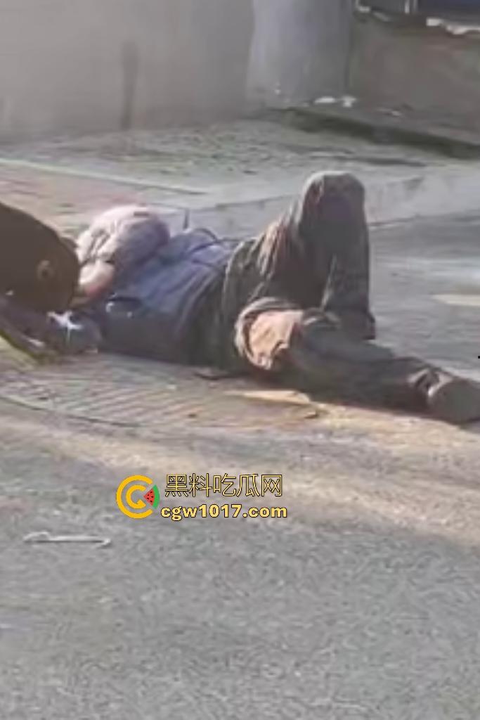 大爷手贱开狗笼被比特犬当场反咬!女主人抱不住狗,大妈大爷拿棍子打像挠痒,比特犬得配上香料才安抚大爷的心!-5