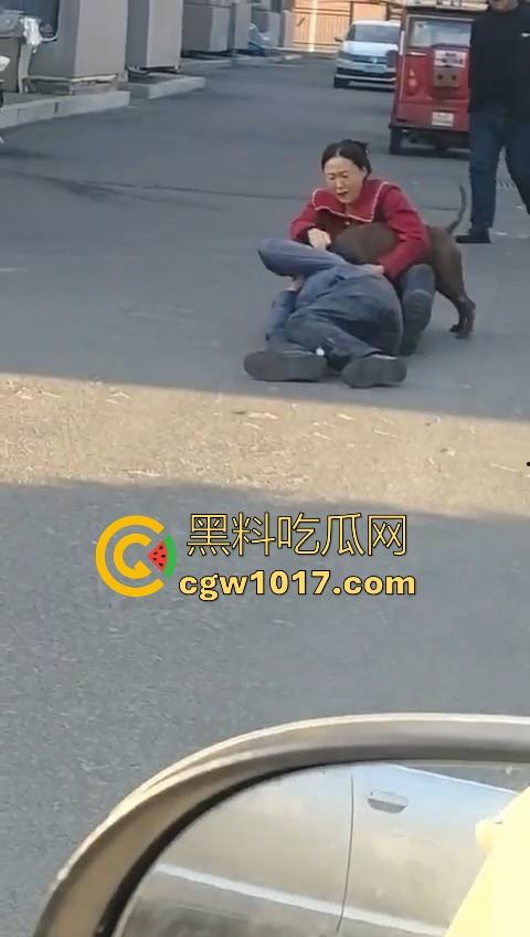 人狗街头大战！比特撕咬绝望老登，撕咬了一会主人拦开，狗子越想越气再次扑咬，不是路上这么多人就合着要这老头呗！-6