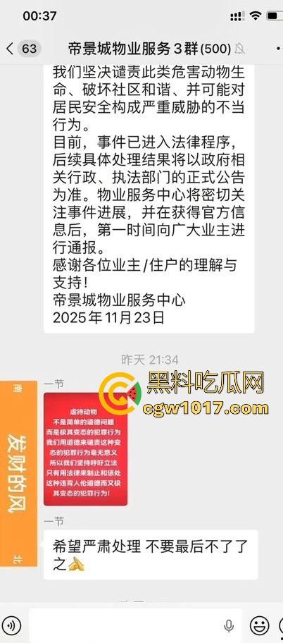 广东揭阳缔景城小区有人虐猫,深夜拿弓箭弓弩射小区小猫咪,在小区乱射箭,如入无人之境,今天敢射猫明天就敢射人!-5