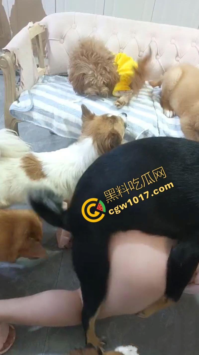 独居小仙女发情无人解决,首次尝试金毛大贯穿,高潮连连腿软如泥,深陷狗屌难以自拔,成为了狂热狗交粉!-5