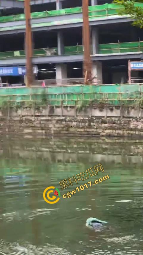 重庆湖边惊魂:绝望女子跳湖,勇敢路人生死救美,惊险拯救,揪心一刻,心跳加速,惊险刺激!-5