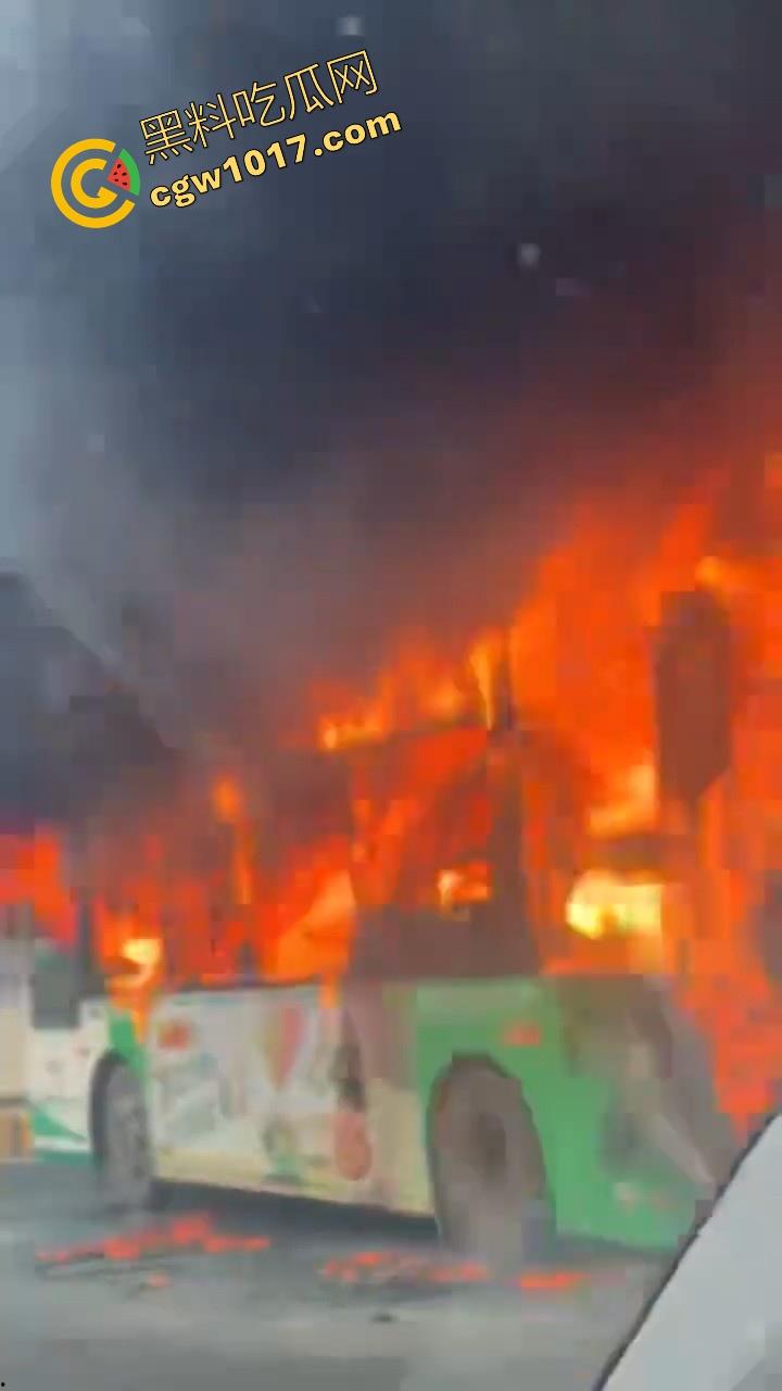 广东佛山季华园隧道口公交车发生自燃,现场浓烟滚滚,火势极其的大,具体自燃原因还待查明!-8