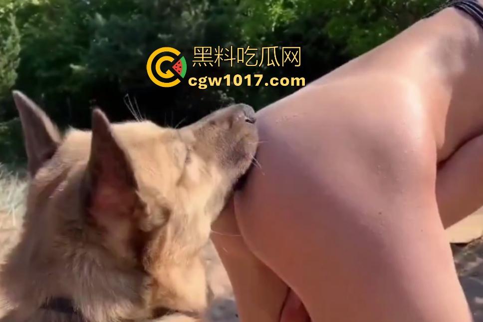 国外美女竟然喜欢和狗杂交!训练大黄狗舌舔骚B,红狗屌后入猛插,射完还要继续舔狗屌,狗子挣脱都怕啦-3