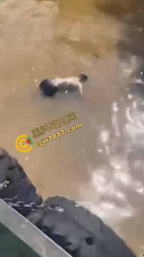 男子野泳惨遭鳄鱼袭击,身体被肆意撕裂,尸体血肉模糊,搜救队惊惧地目睹这惨绝人寰的一幕-9