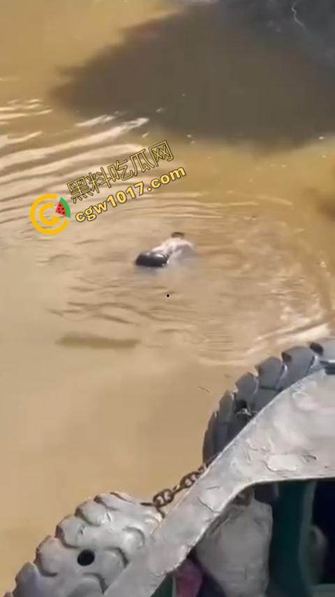 男子野泳惨遭鳄鱼袭击,身体被肆意撕裂,尸体血肉模糊,搜救队惊惧地目睹这惨绝人寰的一幕-8