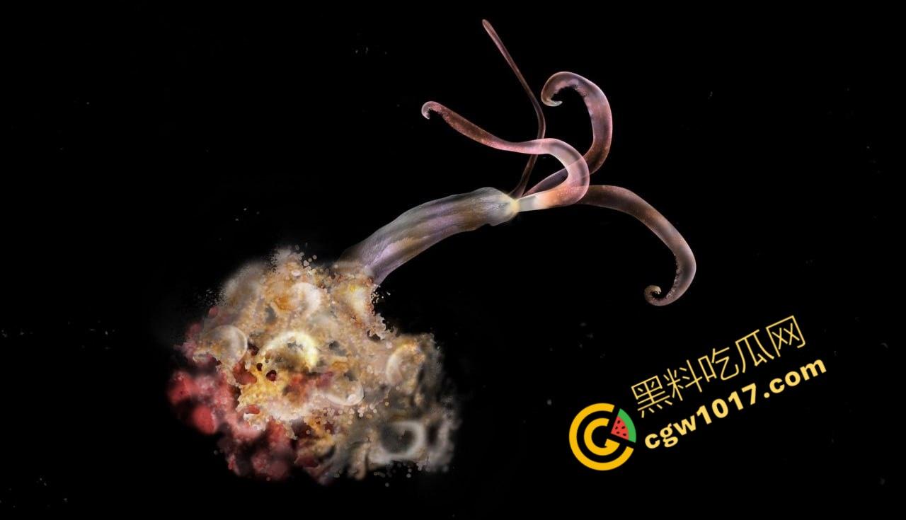 南极科考内部视频劲爆流出：30种未知致命生物！从“死亡之球”到“僵尸蠕虫”，史前病毒横行，足以令人毛骨悚然！-5