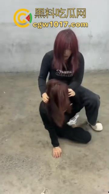 沈阳精神小妹约架群殴,两大帮派集结多人,相互开撕火拼,打得再狠点啊,把逼都扣爆她!-8