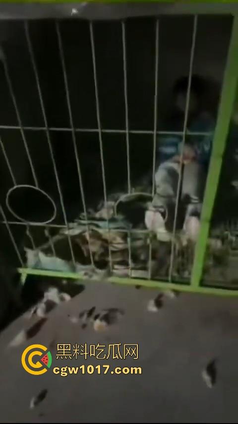 又见教育狂魔上线,作业没写完被打进狗笼?虎爸摇身一变成畜生爸,全网怒骂还在狡辩为你好!-5