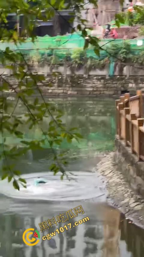 重庆湖边惊魂:绝望女子跳湖,勇敢路人生死救美,惊险拯救,揪心一刻,心跳加速,惊险刺激!-4