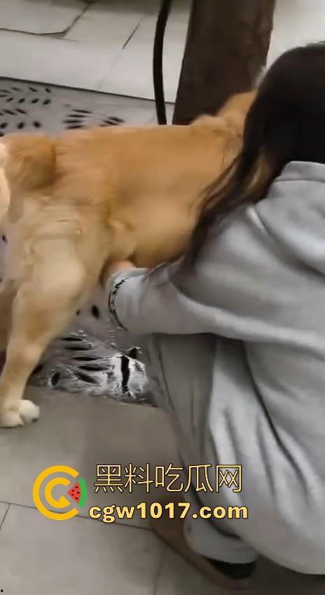 现在的人都这么阴到没边了吗?普通的帮男友打飞机不够刺激,现在流行帮狗打飞机了是吧,每天打几次狗也顶不住!-5